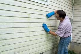 Affordable Siding Repair and Maintenance Services in Jefferson, TX